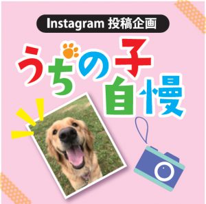 Instagram投稿企画 うちの子自慢