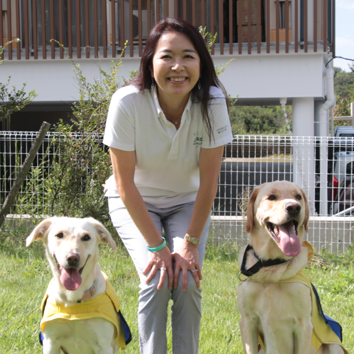 身体障害者補助犬